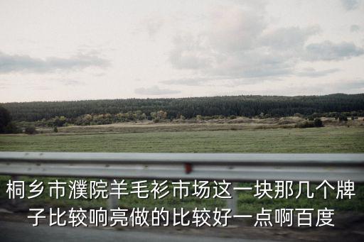 桐乡市濮院羊毛衫市场这一块那几个牌子比较响亮做的比较好一点啊百度