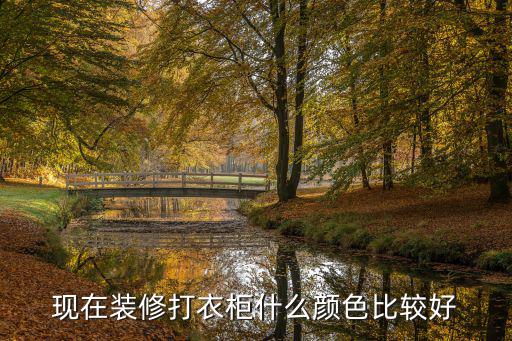 现在装修打衣柜什么颜色比较好