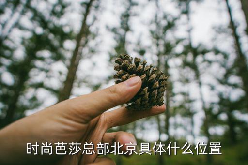 时尚芭莎总部北京具体什么位置