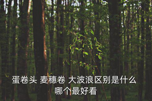 蛋卷头 麦穗卷 大波浪区别是什么 哪个最好看