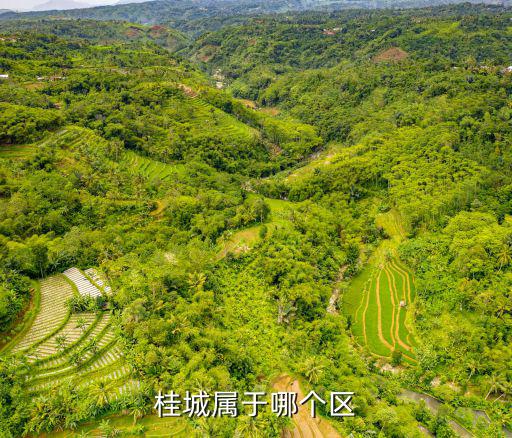 桂城属于哪个区