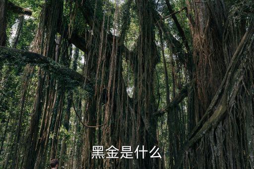 黑金是什么