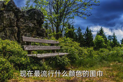 现在最流行什么颜色的围巾