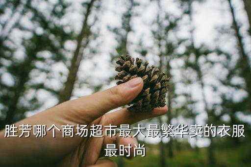 胜芳哪个商场超市最大最繁华卖的衣服最时尚