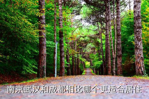 南京武汉和成都相比哪个更适合居住