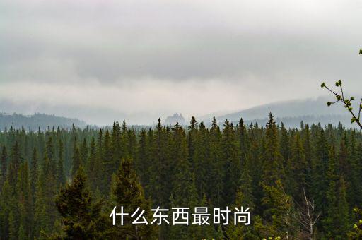 什么东西最时尚