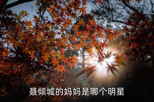 哪个明星妈妈是时尚大师，明星妈妈都有谁啊