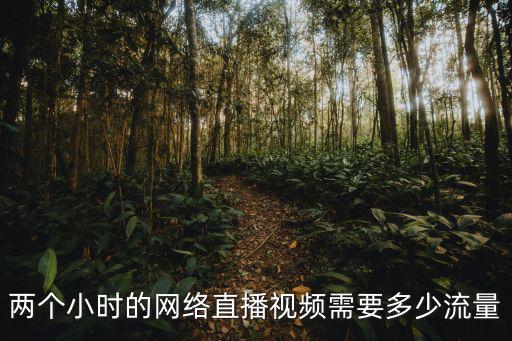 看b站直播一个小时多少流量，用bilibili进行直播时一G流量能撑多久