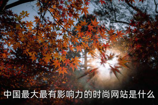 中国的国际时尚论坛是哪个，中国最大最有影响力的时尚网站是什么