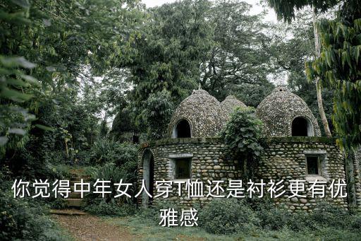 你觉得中年女人穿T恤还是衬衫更有优雅感