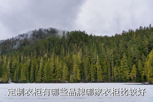 时尚衣柜定制哪个牌子好，哪个牌子的定制衣柜好用