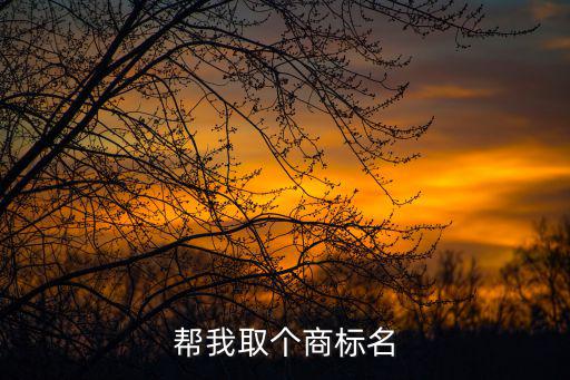 帮我取个商标名
