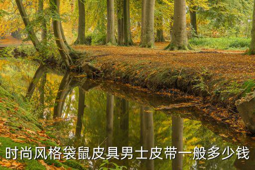 时尚风格袋鼠皮具男士皮带一般多少钱