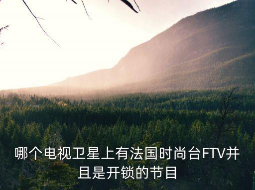 哪个电视卫星上有法国时尚台FTV并且是开锁的节目