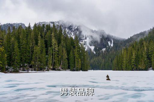 快时尚品牌男装哪个最好，男装品牌