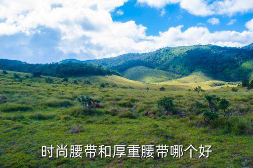 时尚腰带和厚重腰带哪个好