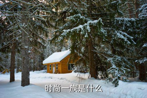 时尚族都有什么族，时尚一族是什么