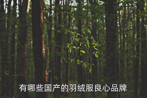 国产户外羽绒服品牌排行榜前十名，十大品牌羽绒服有哪些
