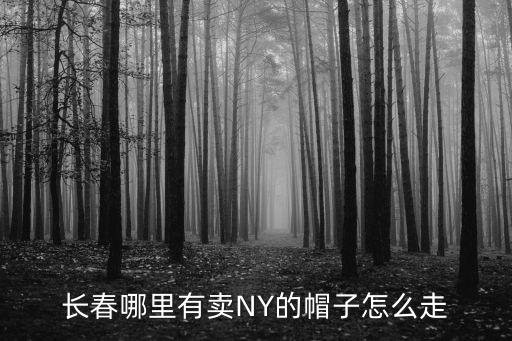 长春哪里有卖NY的帽子怎么走