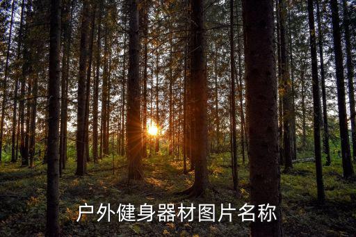 户外健身器材图片名称