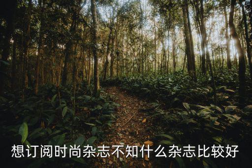 想订阅时尚杂志不知什么杂志比较好