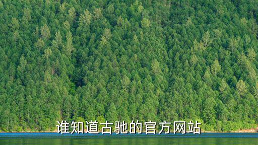 谁知道古驰的官方网站