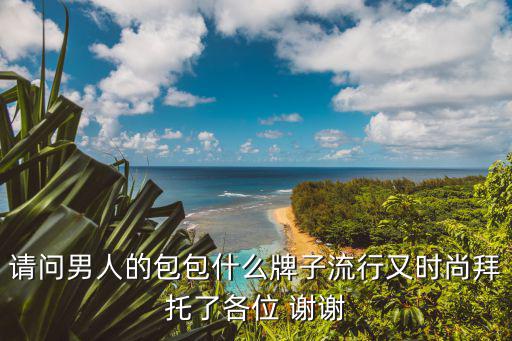 请问男人的包包什么牌子流行又时尚拜托了各位 谢谢