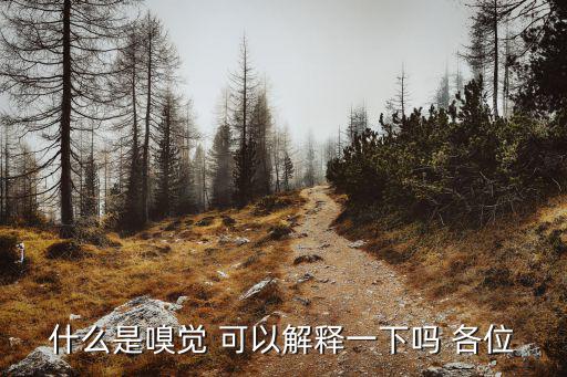 什么是嗅觉 可以解释一下吗 各位