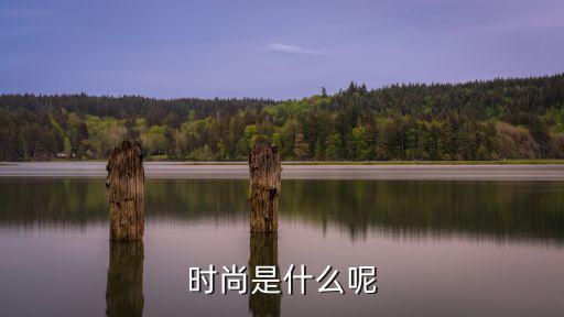 时尚是什么呢