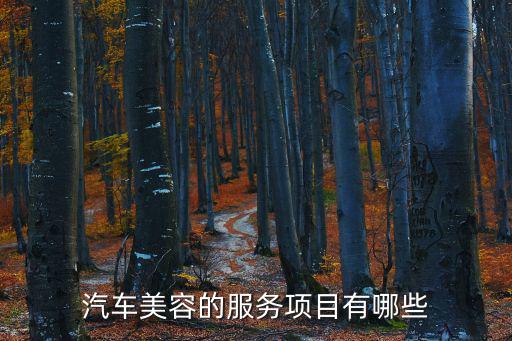 汽车时尚包括什么服务，汽车服务是什么