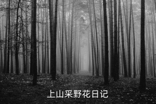 上山采野花日记