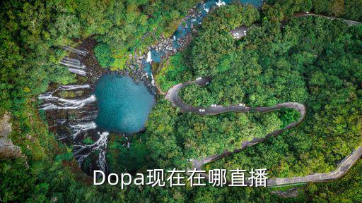 爱情海直播现在叫什么，Dopa现在在哪直播