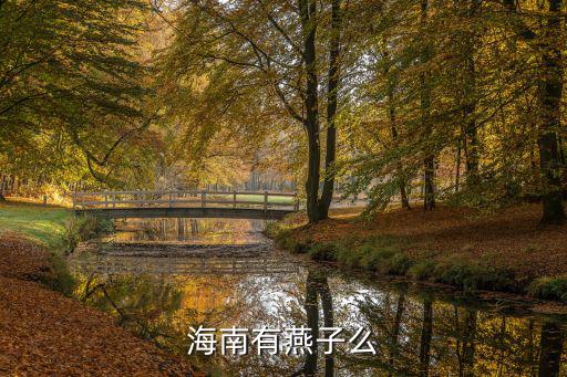 海南有燕子么