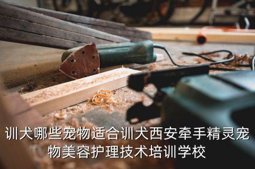 训犬哪些宠物适合训犬西安牵手精灵宠物美容护理技术培训学校