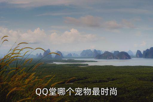 QQ堂哪个宠物最时尚