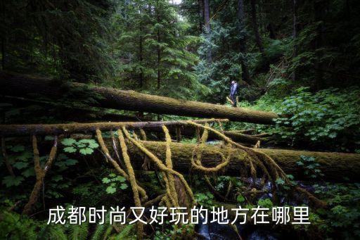 成都时尚又好玩的地方在哪里