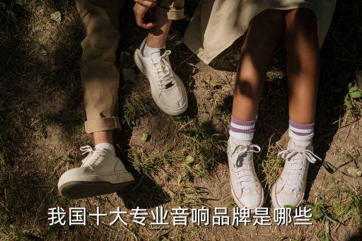 我国十大专业音响品牌是哪些