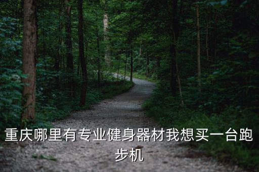 重庆哪里有专业健身器材我想买一台跑步机