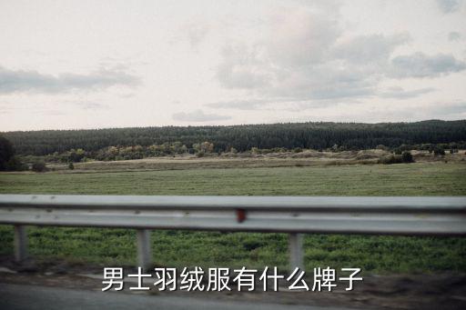 男士羽绒服有什么牌子