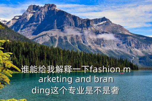 谁能给我解释一下fashion marketing and branding这个专业是不是奢
