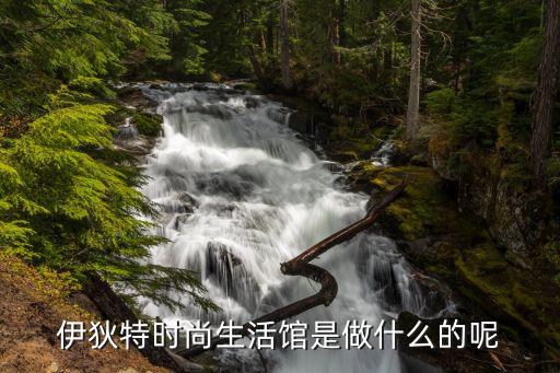 伊狄特时尚生活馆是做什么的呢