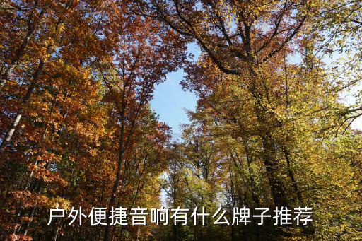 户外便捷音响有什么牌子推荐