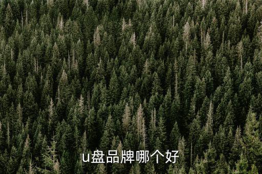 u盘品牌哪个好