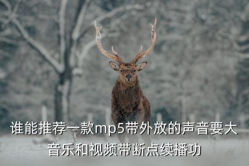 谁能推荐一款mp5带外放的声音要大音乐和视频带断点续播功