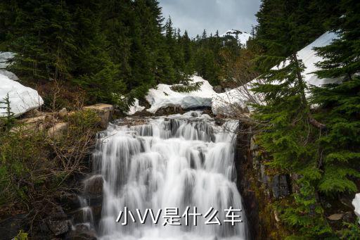 什么车时尚动感，小VV是什么车
