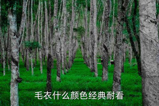 毛衣什么颜色经典耐看