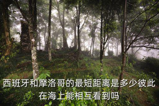 摩洛哥vs西班牙今晚直播，西班牙国奥VS摩洛哥国奥在哪看直播
