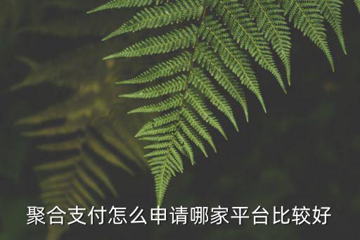 聚合支付怎么申请哪家平台比较好
