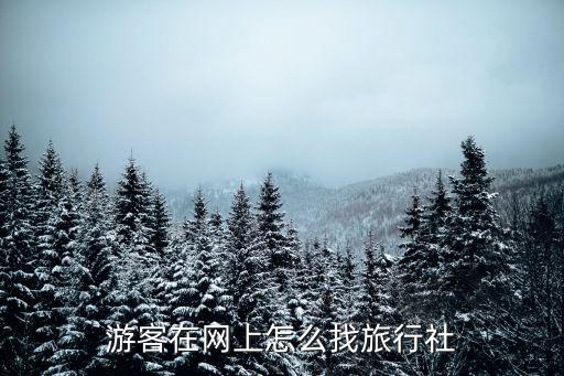 如何找旅游团，旅游应该怎么选择旅行团