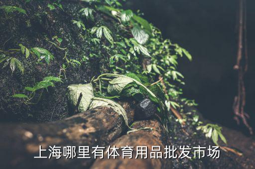 上海哪里有体育用品批发市场